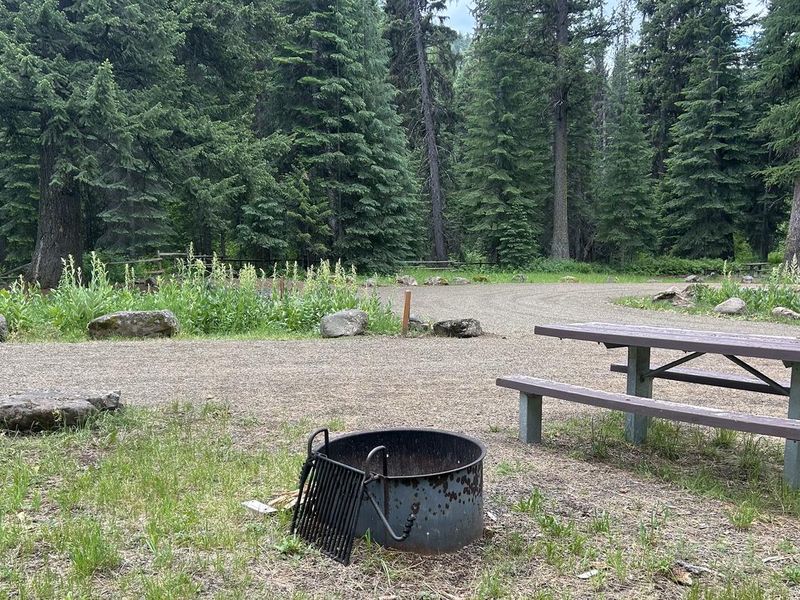 Campsite #7 at Huckleberry Campground