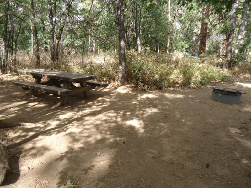 Rock Creek Mt Hood NF