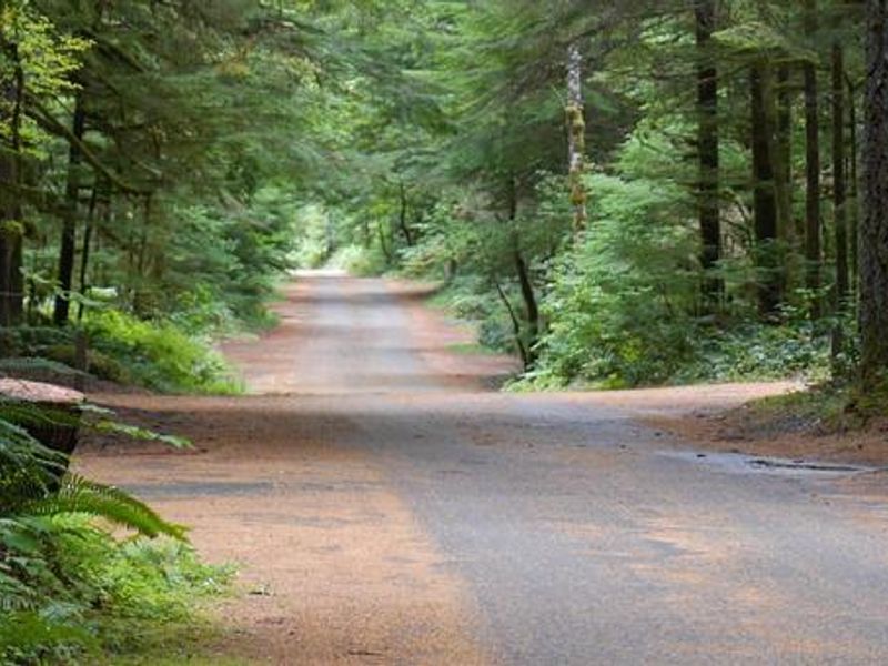 North Fork Campground