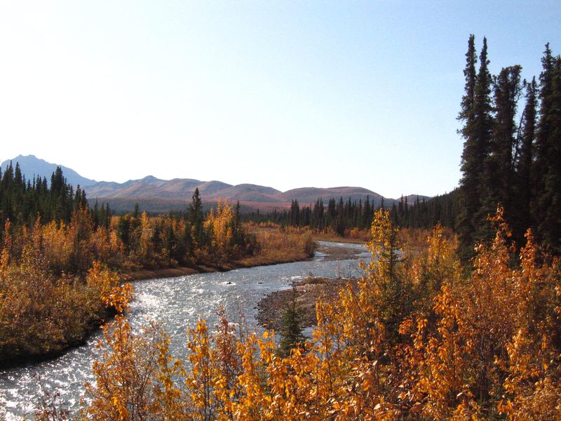The area around Sanctuary River turns shades of yellow, orange and red in fall (mid-August)