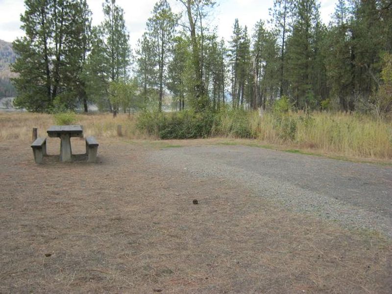 Kettle Falls Campground with trees and bushes in the background.