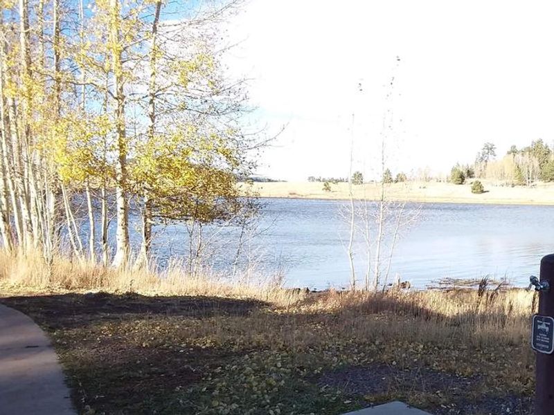 Big Lake at Grayling Campground, Apache-Sitgreaves National Forest