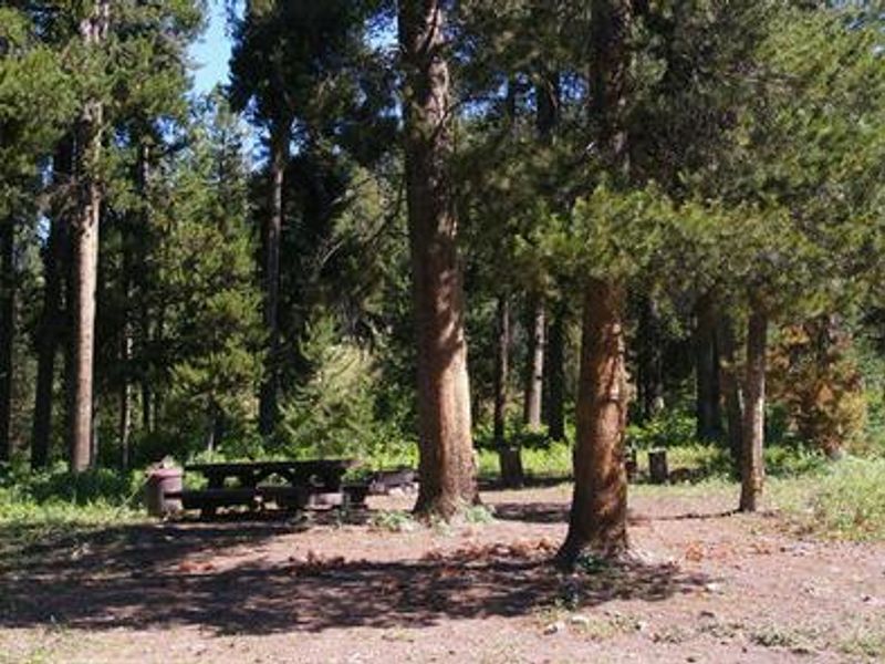 picnic table and fire ring