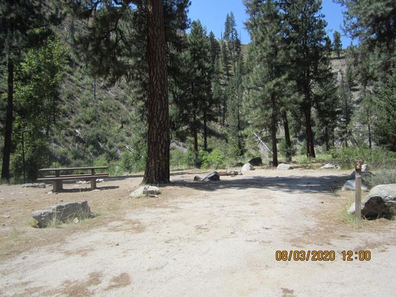 Site #2 has a flat dirt parking space with lots of sun.