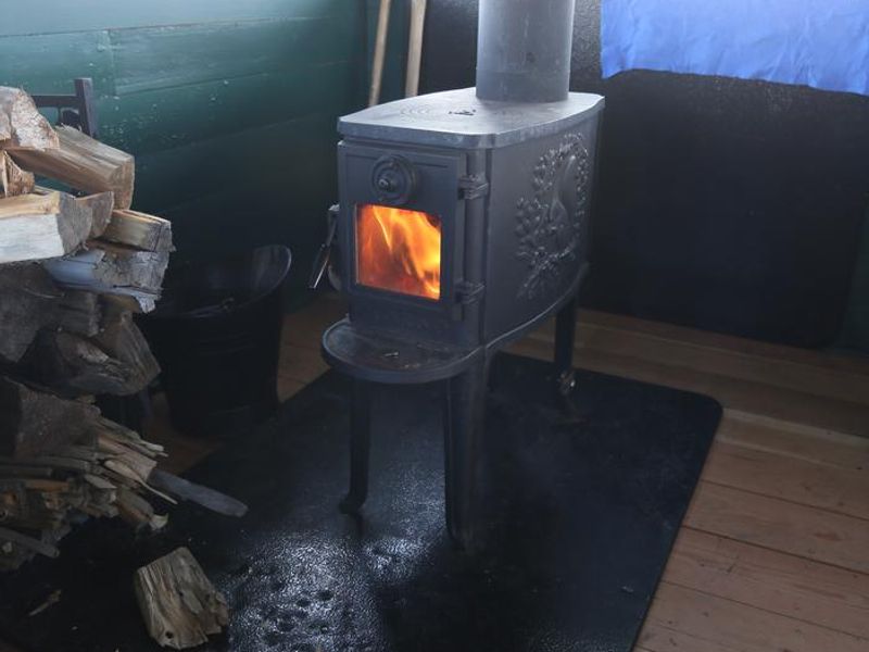 Wood stove with fire