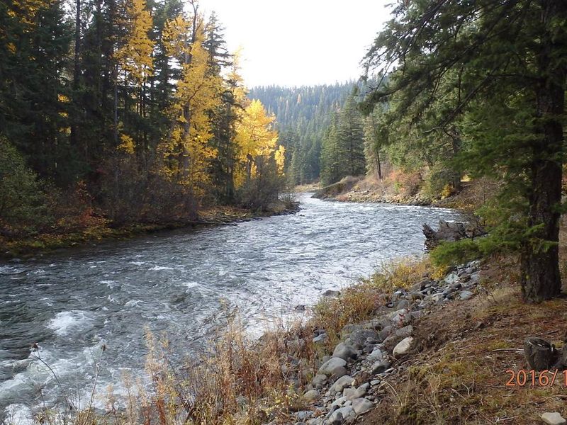 This campsite is set along the river