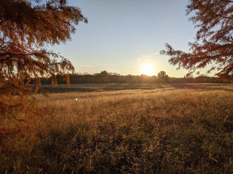 West Rolling Hills Field