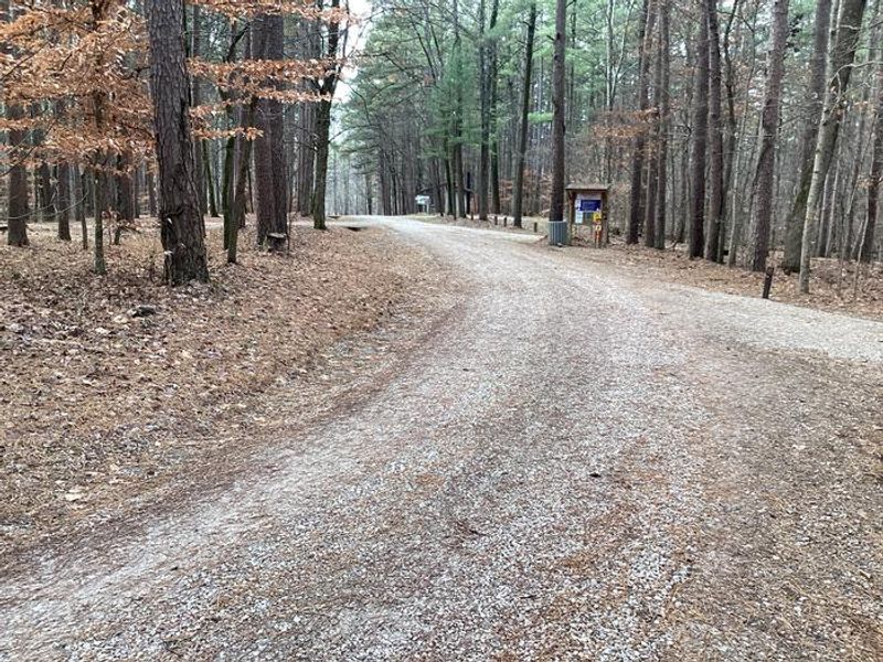 A photo of Saddle Lake Campground