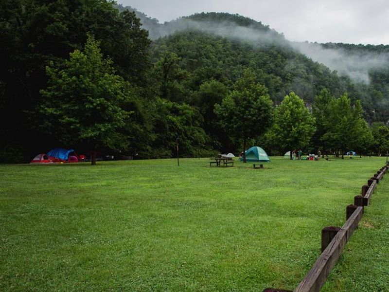 Main walk-in camping area at Steel Creek Campground.