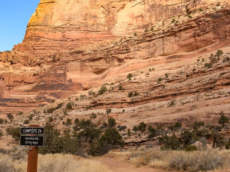 Campsite 26