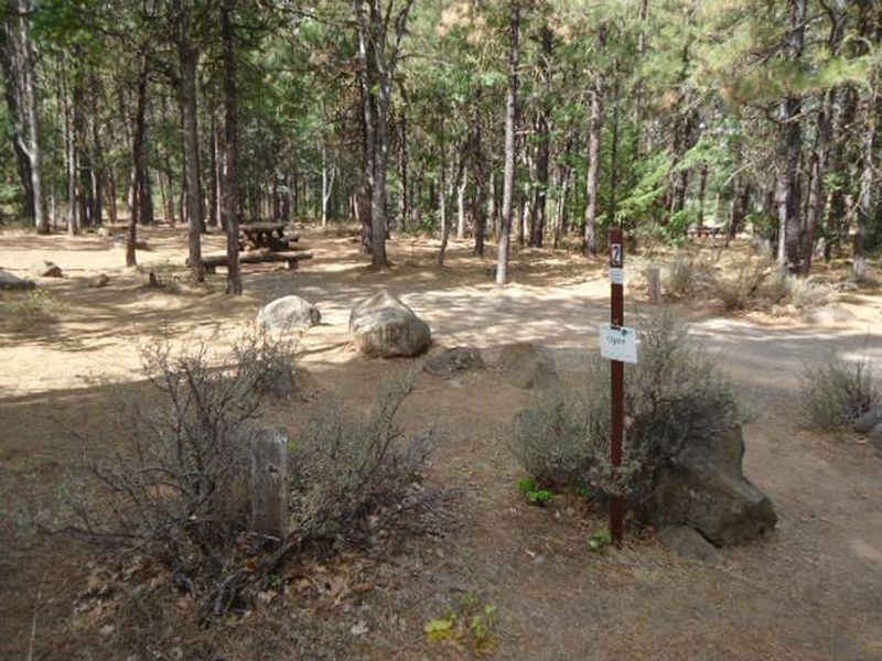 Rock Creek Mt Hood NF