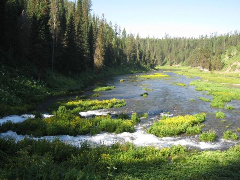 A short walk from the cabin.