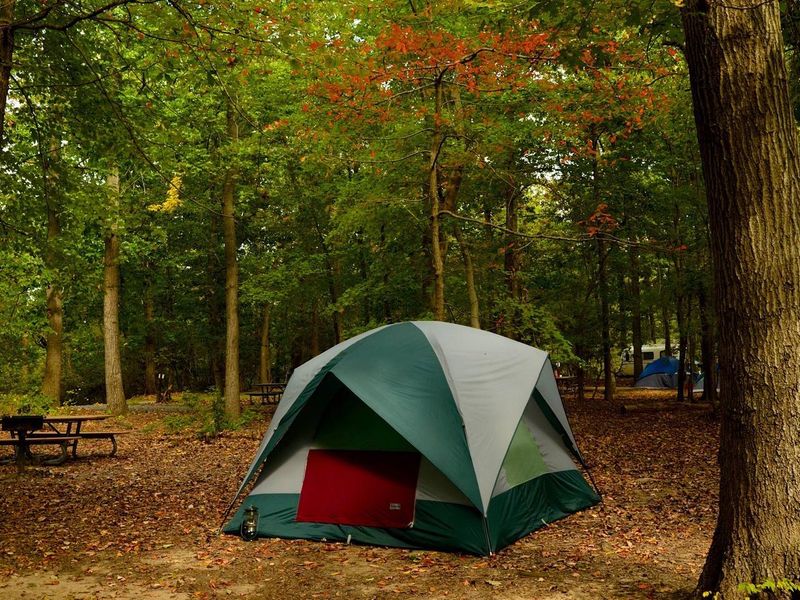 Camp under the stars just 10 miles from Washington, D.C. at the Greenbelt Park Campground located in Greenbelt, Maryland. 
