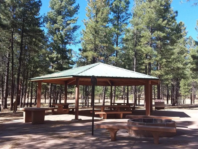 TEN-X Campground Group Site