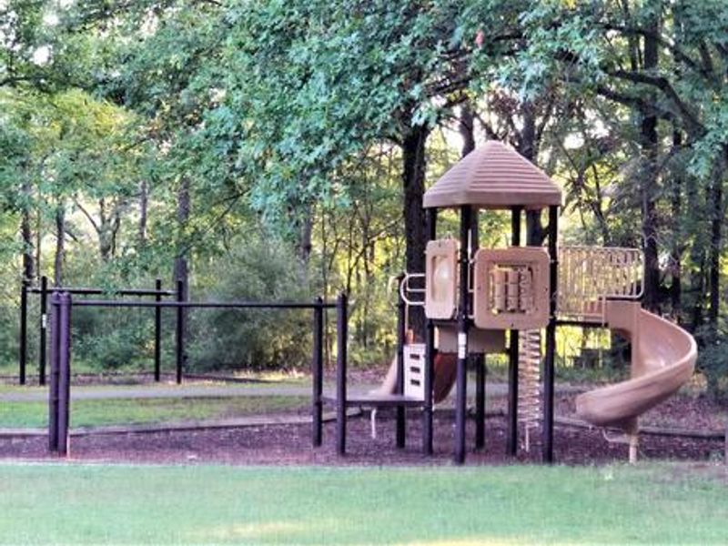 Playground equipment located within Dale Miller Youth Group Area.