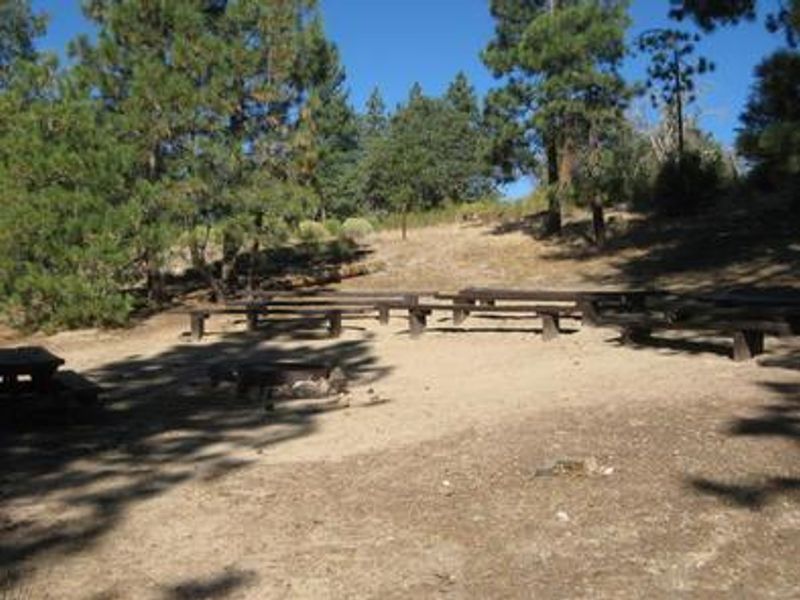 Lobo Group Campground Picnic Tables