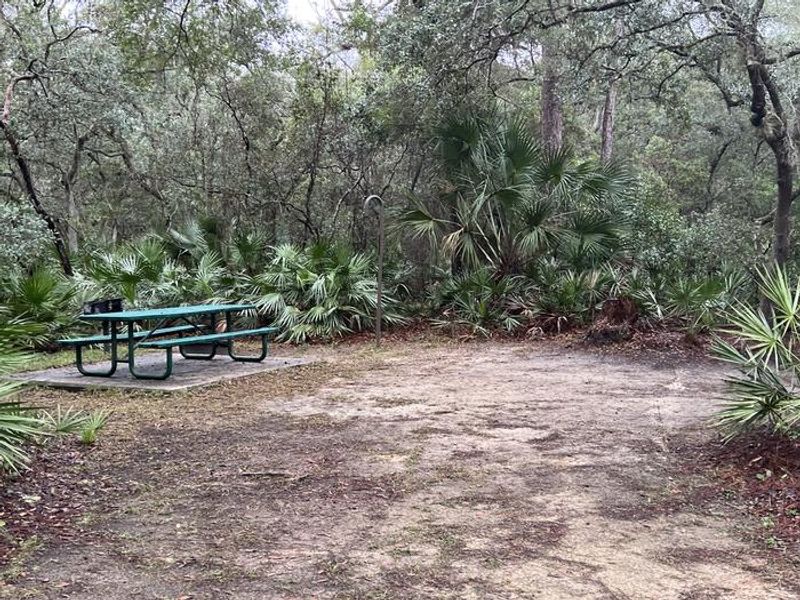 Camp site with sun and shade.