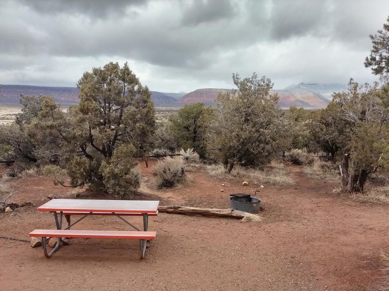 Campsite in the Natural Bridges Campground