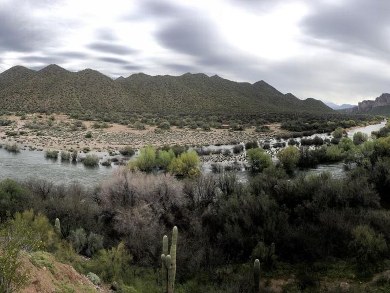 Tonto National Forest