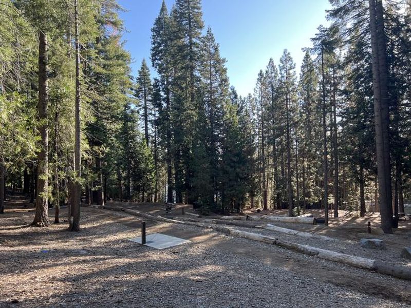 A photo of the walk-in sites at West Point Campground