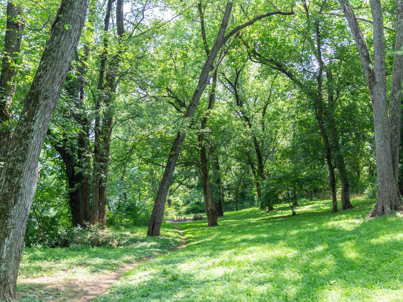 Sorrel Ridge Hiker-Biker Campground