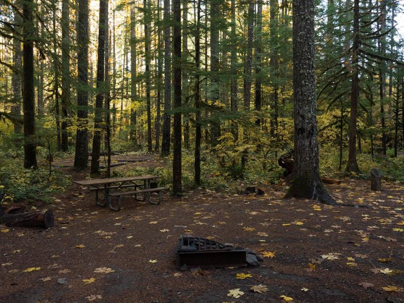 Panther Creek Campsite