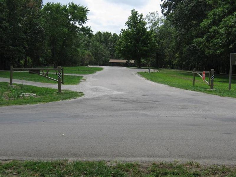 Lone Point Group Camp