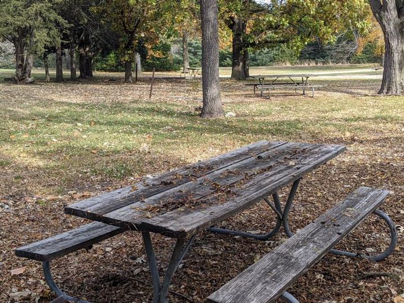 Timber Creek Picnic Area