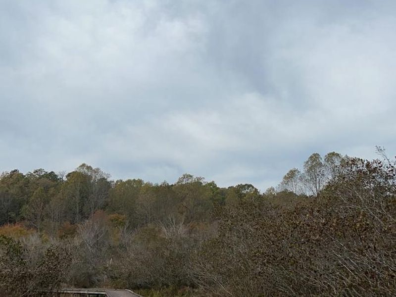 One of the many boardwalks along the lakeside trail.