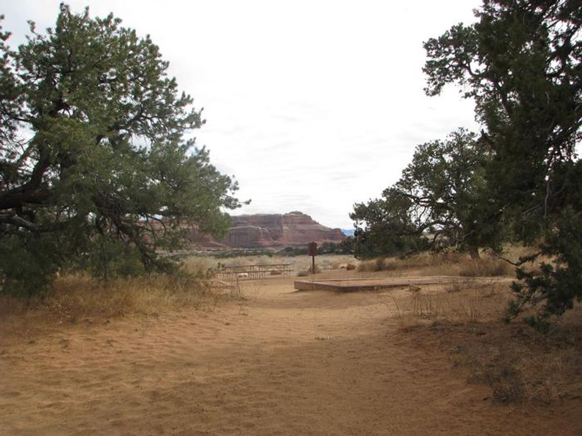 Canyonlands National Park Needles District Group Campsites photo 2
