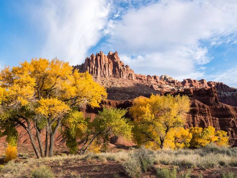 Autumn colors contrast with red rock formations