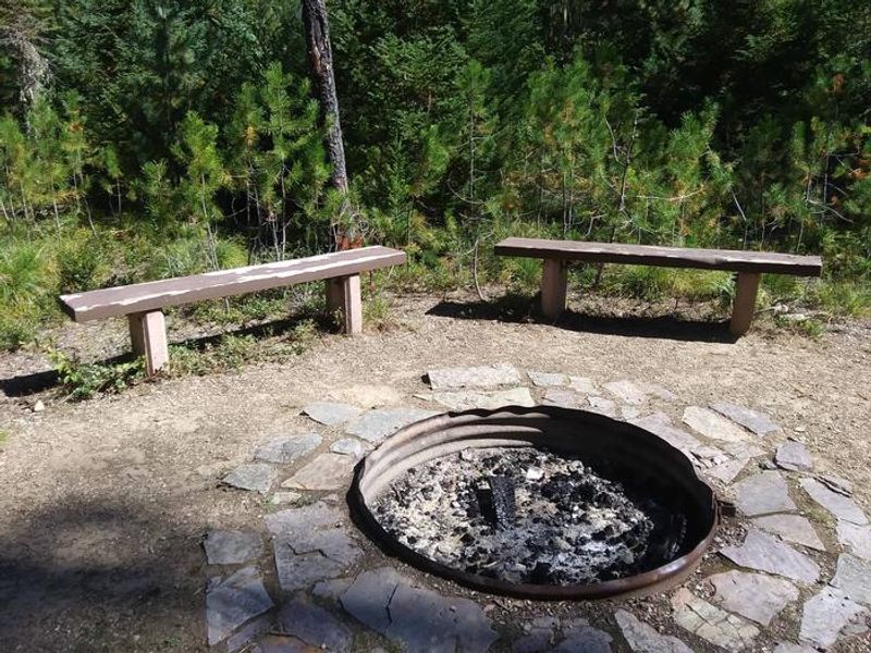 Berlin Flats Group Fire Pit in the Idaho Panhandle National Forest