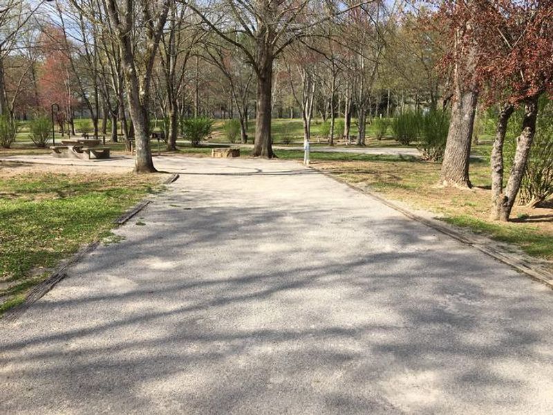 DALE HOLLOW DAMSITE-ALL SITES BUT ONE HAVE ELECTRIC AND WATER HOOKUP.  NO SEWER.