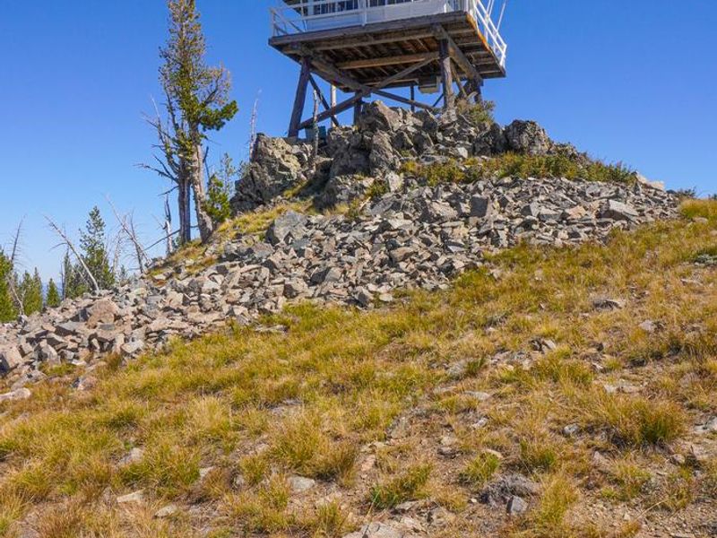 another view from below