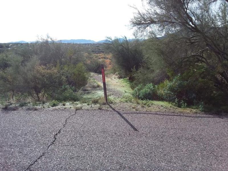 Windy Hill Campground Coyote Site Trail Head