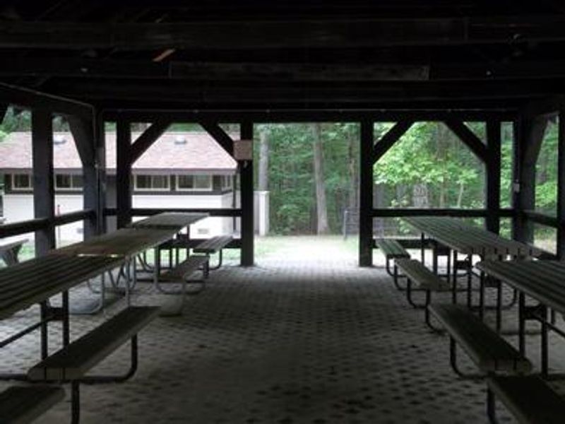 Inside Telegraph Picnic Pavilion