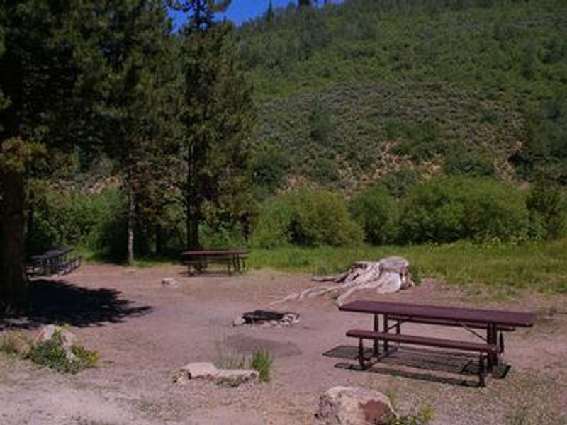 Lower Penstemon Campsite