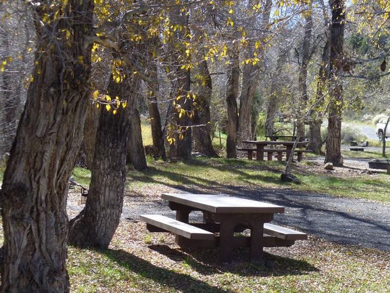 White Bridge Campground