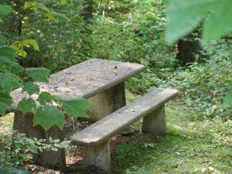 Picnic Tables in Backbone Rock Day Use Area