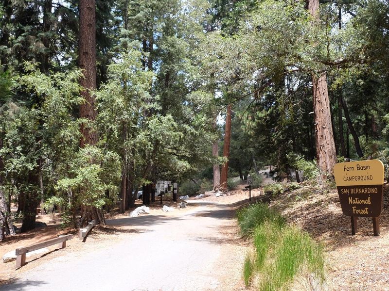Roadway with Fern Basin Campground sign.