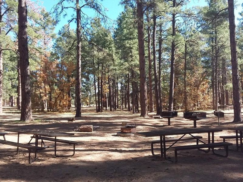 Group picnic area.