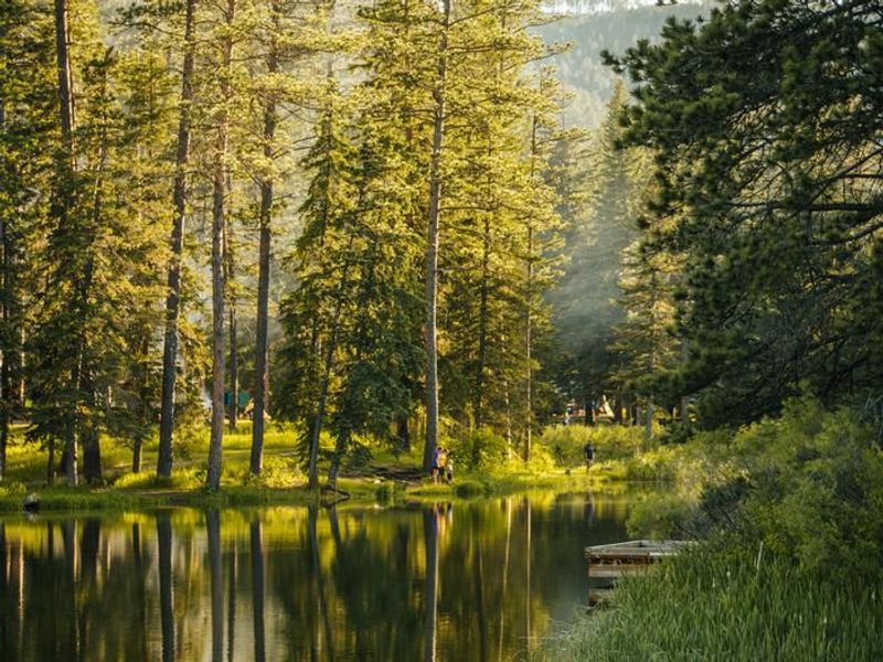 Look at the middle of Dalton Lake