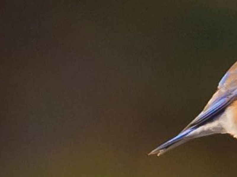 Warm Springs Recreation Area