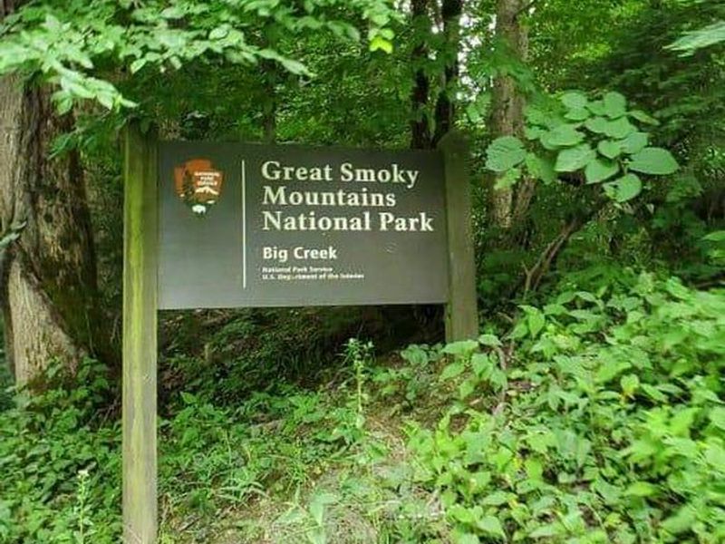 Big Creek Sign