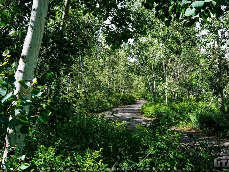Payson Lakes Campground