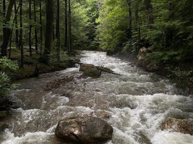 Horse Creek after heavy rain