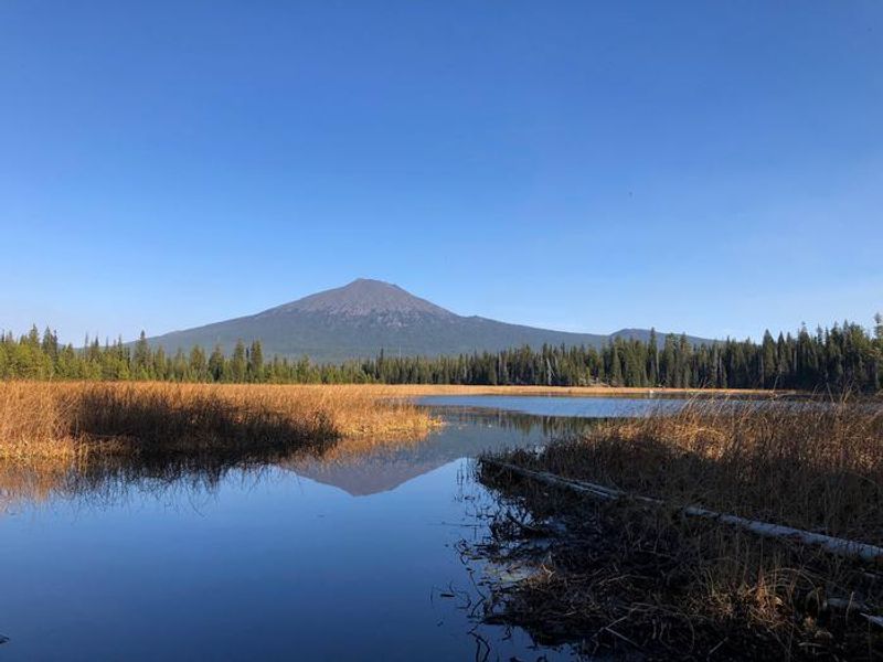 Mt. Bachelor from Hosmer Lake
