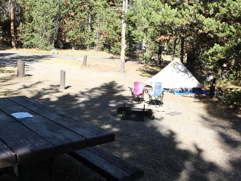 Indian Creek Campground site #43
