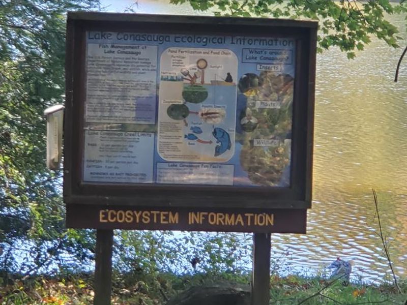 Interesting information is located around recreation area to inform visitors about uniqueness of the area.