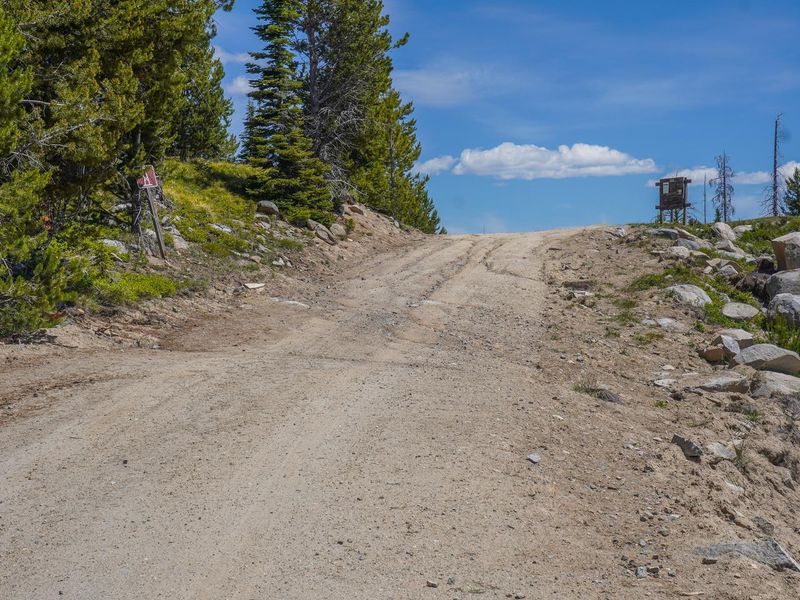 Road to parking area for trail to lookout